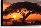 Canvas - Silhouet van Grote Acacia Boom op Savanne tijdens Zonsondergang - 60x40 cm Foto op Canvas Schilderij (Wanddecoratie op Canvas)