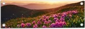 Tuinposter – Roze Bloemenveld boven aan de Berg bij Zonsondergang - 60x20 cm Foto op Tuinposter (wanddecoratie voor buiten en binnen)