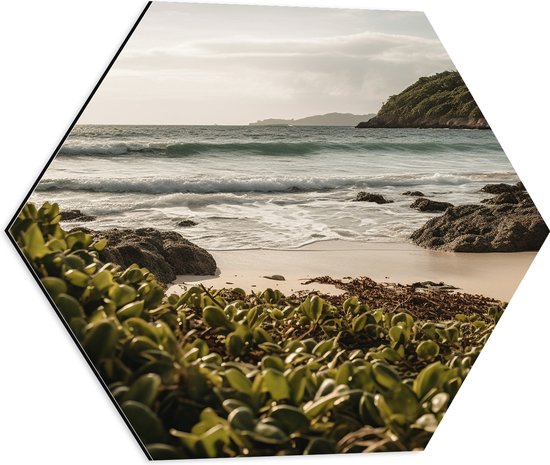 Dibond Hexagon - Kleine Groene Planten op het Strand aan de Zee - 50x43.5 cm Foto op Hexagon (Met Ophangsysteem)
