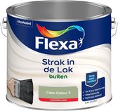 Flexa Strak in de lak - Buitenlak Hoogglans - Calm Colour 3 - 1l