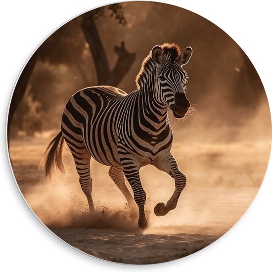 PVC Schuimplaat Muurcirkel - Rennende Zebra in Landschap - 50x50 cm Foto op Muurcirkel (met ophangsysteem)