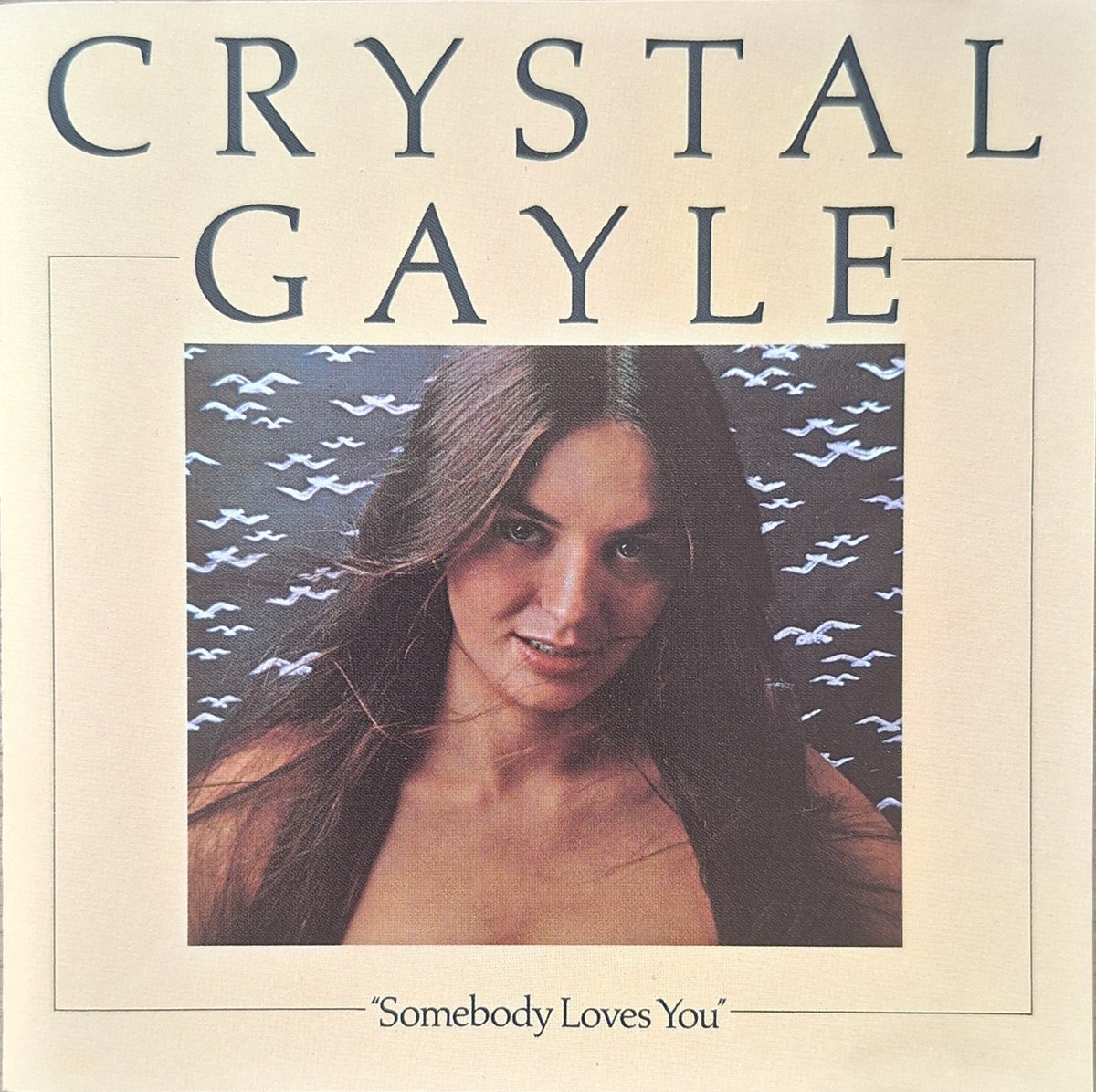 Somebody Loves You