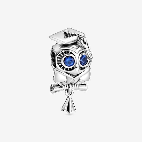 Pandora Bedel Afstudeer Uil 798907C01 | bol