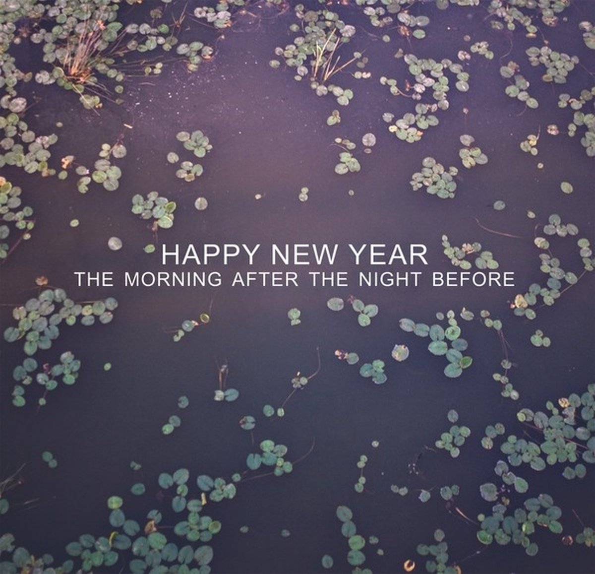 Happy New Year - The Morning After The Night Before (LP)
