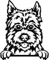 Sticker - Glurende Hond - Cairn Terrier - Zwart - 25x20cm - Peeking Dog