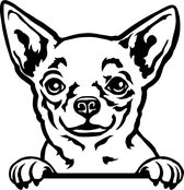 Sticker - Glurende Hond - Chihuahua - Zwart - 25x20cm - Peeking Dog