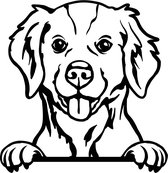 Sticker - Glurende Hond - Britse Spaniel - Zwart - 25x20cm - Peeking Dog