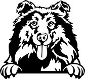 Sticker - Glurende Hond - Collie - Zwart - 25x20cm - Peeking Dog