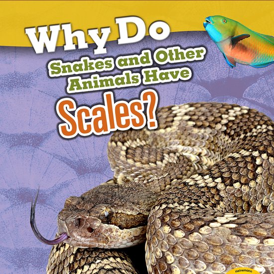 Why Do Snakes and Other Animals Have Scales? - cover