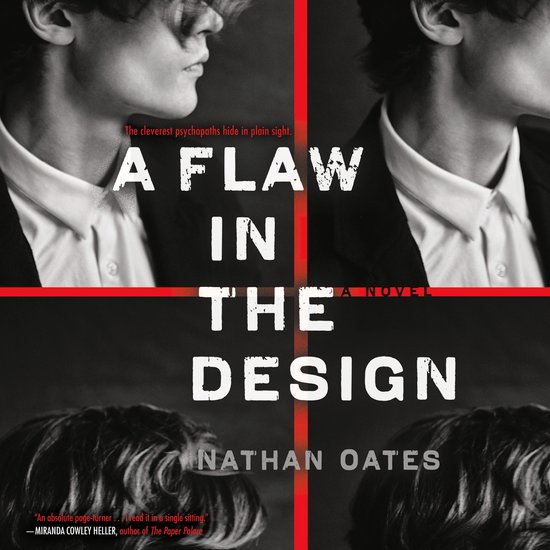 A Flaw in the Design - cover
