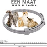 Borvat® | Vlooienband | Tekenband | Alle Maten | Anti Vlooien voor Katten | Anti tekenmiddel | Diervriendelijk