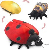 Folkmanis Handpop Lieveheersbeestje Metamorfose / Marienkäfer Metamorphose / Ladybug Life Cycle