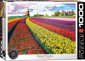 Puzzle - Champs de tulipes en Hollande - 1000e.