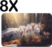 BWK Flexibele Placemat - Krokussen in het Bos - Set van 8 Placemats - 45x30 cm - PVC Doek - Afneembaar