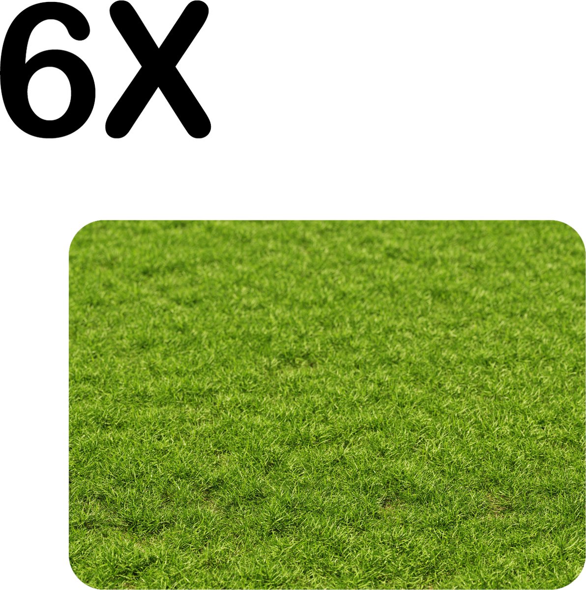 BWK Flexibele Placemat - Groen Gras - Set van 6 Placemats - 40x30 cm - PVC Doek - Afneembaar