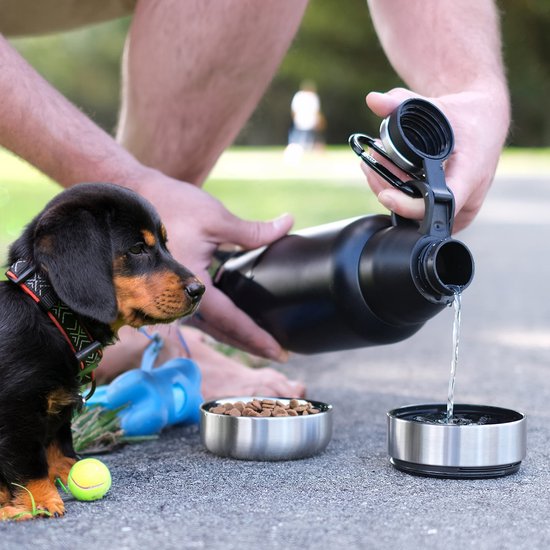 JAXY Thermosfles - Drinkfles Hond - Honden Waterfles - Honden Drinkfles - Waterfles Hond Onderweg - Travel Mug Thermosbeker - 950 ml - Blauw - JAXY