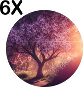 BWK Luxe Ronde Placemat - Bloesem aan de Boom bij Zonsondergang - Set van 6 Placemats - 50x50 cm - 2 mm dik Vinyl - Anti Slip - Afneembaar