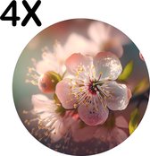 BWK Luxe Ronde Placemat - Roze Kersen Bloesem in de Lente - Set van 4 Placemats - 50x50 cm - 2 mm dik Vinyl - Anti Slip - Afneembaar
