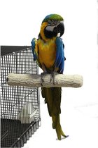 Back Zoo Nature Super Stone Perch XL - 35cm Macaw
