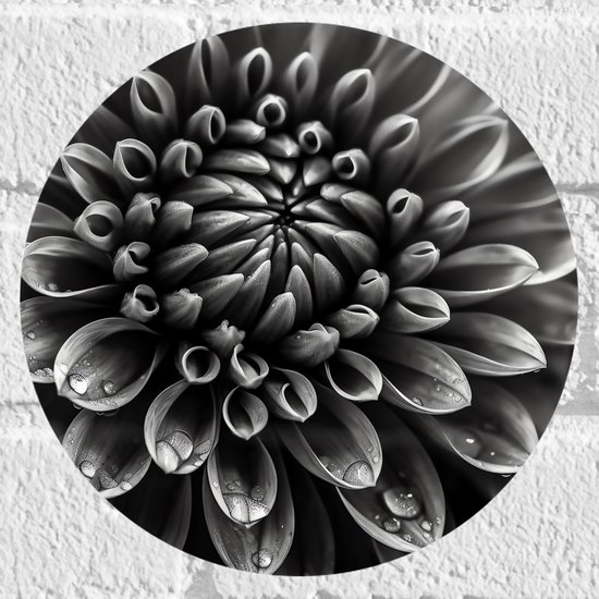 Foto: Muursticker cirkel zwart wit dahlie bloem met waterdruppels erop 20x20 cm foto op muursticker