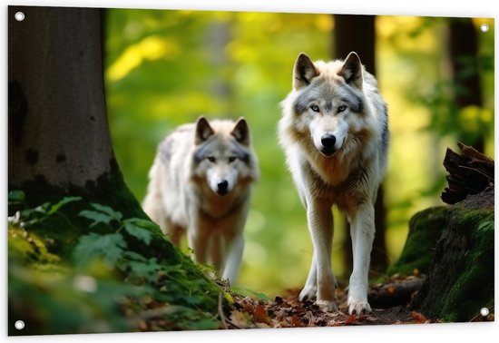 Tuinposter – Wolven Sluipend door het Groene Bos - 120x80 cm Foto op Tuinposter (wanddecoratie voor buiten en binnen)