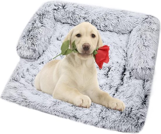Coussin de canapé pour chiens et chats, peluche, tapis pour chien, grand  lit pour