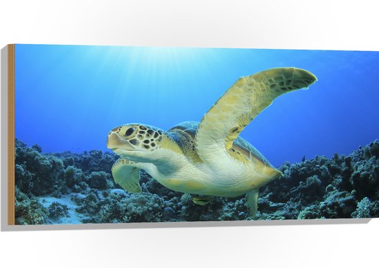 Hout - Zwemmende Zeeschildpad bij Koraal op Zeebodem van Heldere Oceaan - 100x50 cm - 9 mm dik - Foto op Hout (Met Ophangsysteem)