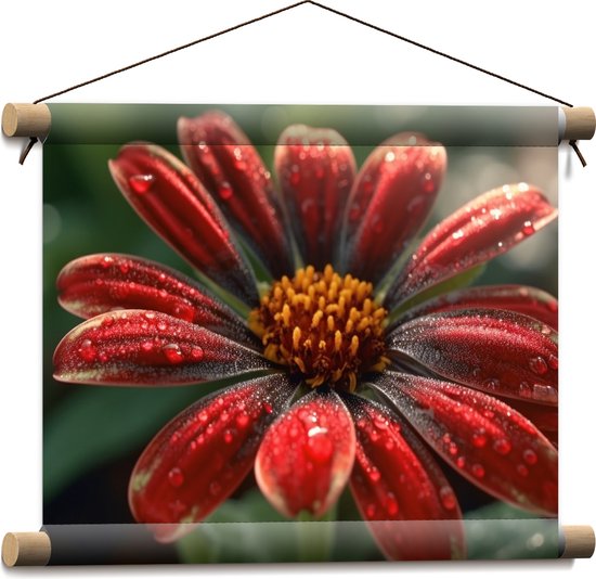 Textielposter - Bloem - Rood - Druppels - Natuur - 40x30 cm Foto op Textiel