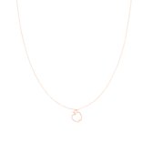 OOZOO Jewellery - Rosé goudkleurige ketting met een appel - SN-2044