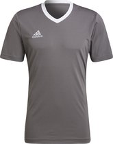 adidas Performance Entrada 22 Voetbalshirt - Heren - Grijs- S