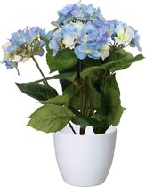 Hortensia kunstplant met bloemen blauw - in pot wit - 40 cm hoog