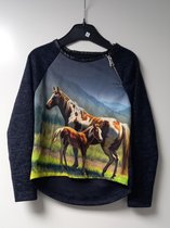 Trui paarden - rits - sweater - 4 jaar