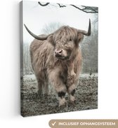 OneMillionCanvasses - Muurdecoratie - Schotse hooglander - Natuur - Herfst - Bos - 60x80 cm - Woonkamer - Slaapkamer - Canvas schilderij koe