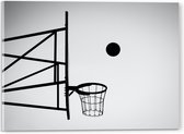 Acrylglas - Bal Vallend in Basket (Zwart-wit) - 40x30 cm Foto op Acrylglas (Met Ophangsysteem)