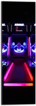 Dibond - Ballengooien Spel in Arcade Hal - 20x60 cm Foto op Aluminium (Wanddecoratie van metaal)