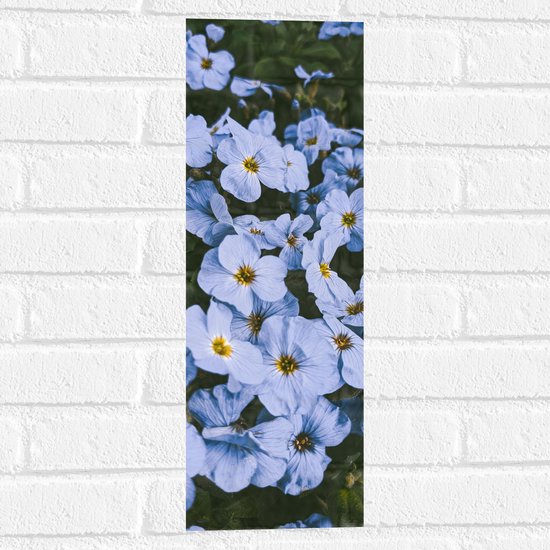 Muursticker - Vergeet me nietjes bloemen blauw met gele binnenkant - 20x60 cm Foto op Muursticker