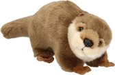 Pluche Rivier otter knuffel van 28 cm - Dieren speelgoed knuffels cadeau - Knuffeldieren/beesten