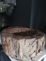 wooden pot stam decoratie robuust landelijk