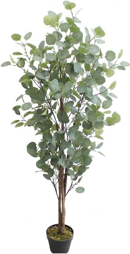 Kunst Eucalyptus Boom - Namaak Kamerplant - 160cm - Kunstplant Groen