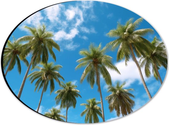 Dibond Ovaal - Bomen - Palmbomen - Tropisch - Wolken - Kleuren - 28x21 cm Foto op Ovaal (Met Ophangsysteem)