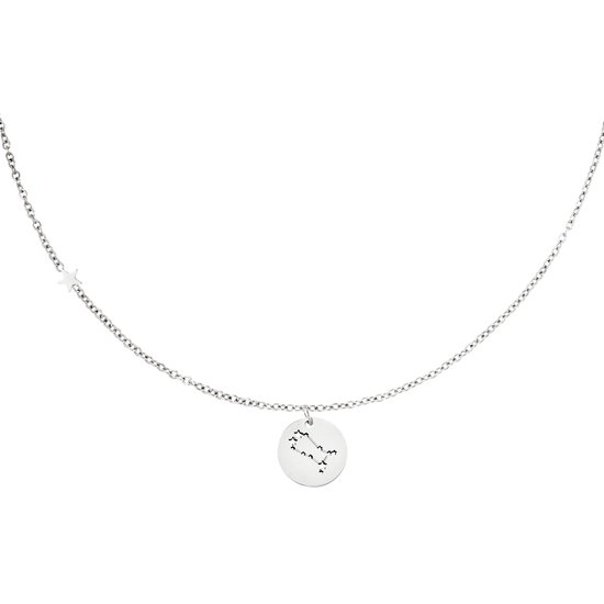 Yehwang, sterrenbeeld ketting; tweeling, zilver, stainless steel