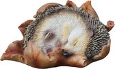 Vivid Arts Baby Egel In Blad Tuindecoratie - Zeer Gedetailleerd, Hars, 8x16x9 Cm, Weerbestendig