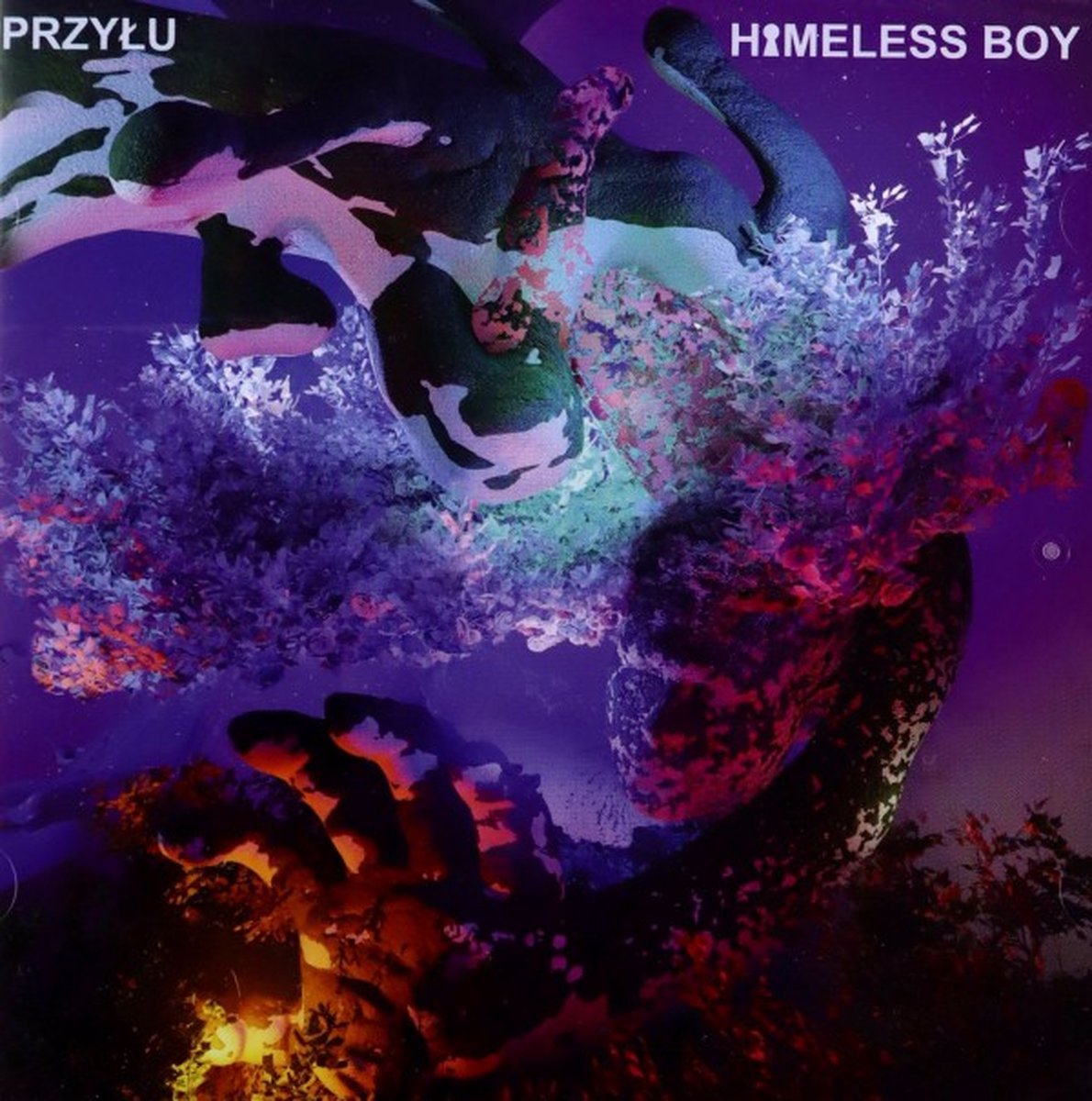 Przyłu: Homeless Boy [CD]