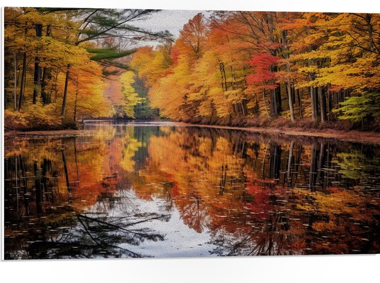 PVC Schuimplaat - Water - Bomen - Bos - Herfst - Bladeren - 75x50 cm Foto op PVC Schuimplaat (Met Ophangsysteem)