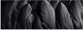 Poster Glanzend – Veren - Zwart - 90x30 cm Foto op Posterpapier met Glanzende Afwerking