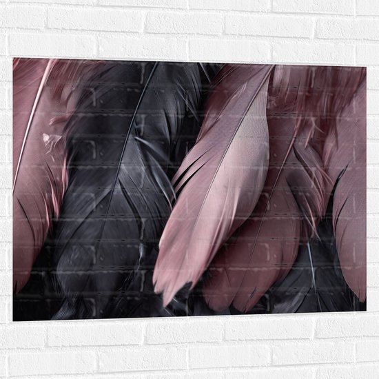 Muursticker - Veren - Zwart - Roze - 100x75 cm Foto op Muursticker