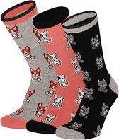 Apollo - Dames sokken giftbox - Hondenprint - Multi color - Maat 36/41- Giftbox - Cadeaudoos - Giftbox Vrouwen - Verjaardagscadeau