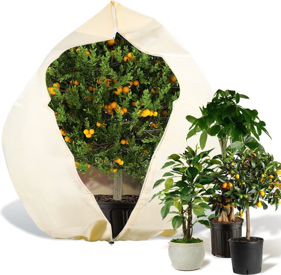 Pour hiver couverture phytosanitaire assurer des plantes saines avec des  sacs de