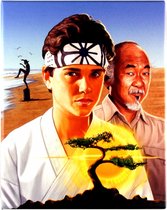 Karate Kid/Karate Kid 2/Karate Kid 3