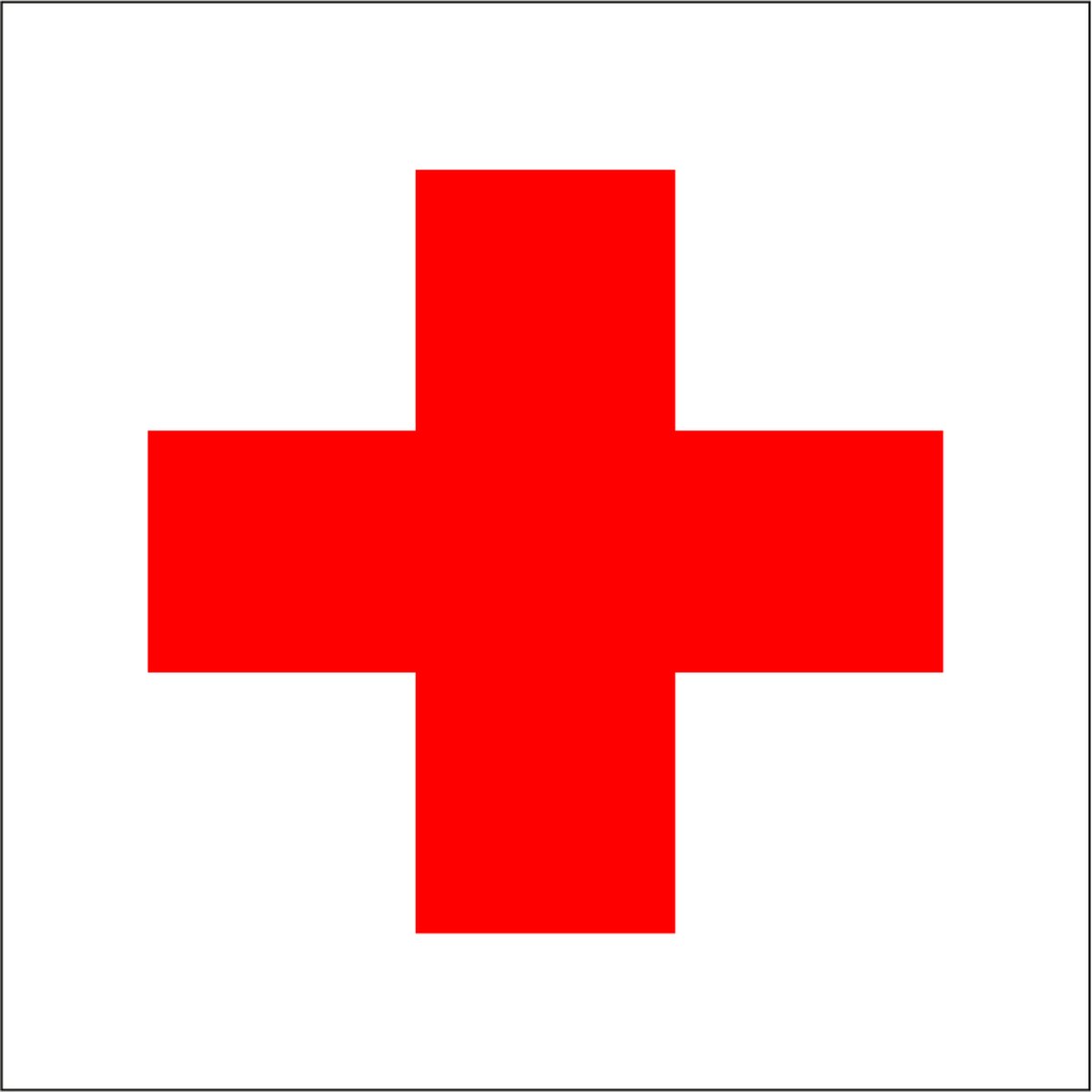 AUA SIGNALETIQUE Warnschild „Videoüberwachung“ – Rot, 300x210 Mm (A4) | Vorgebohrt Für Wand/Gitter